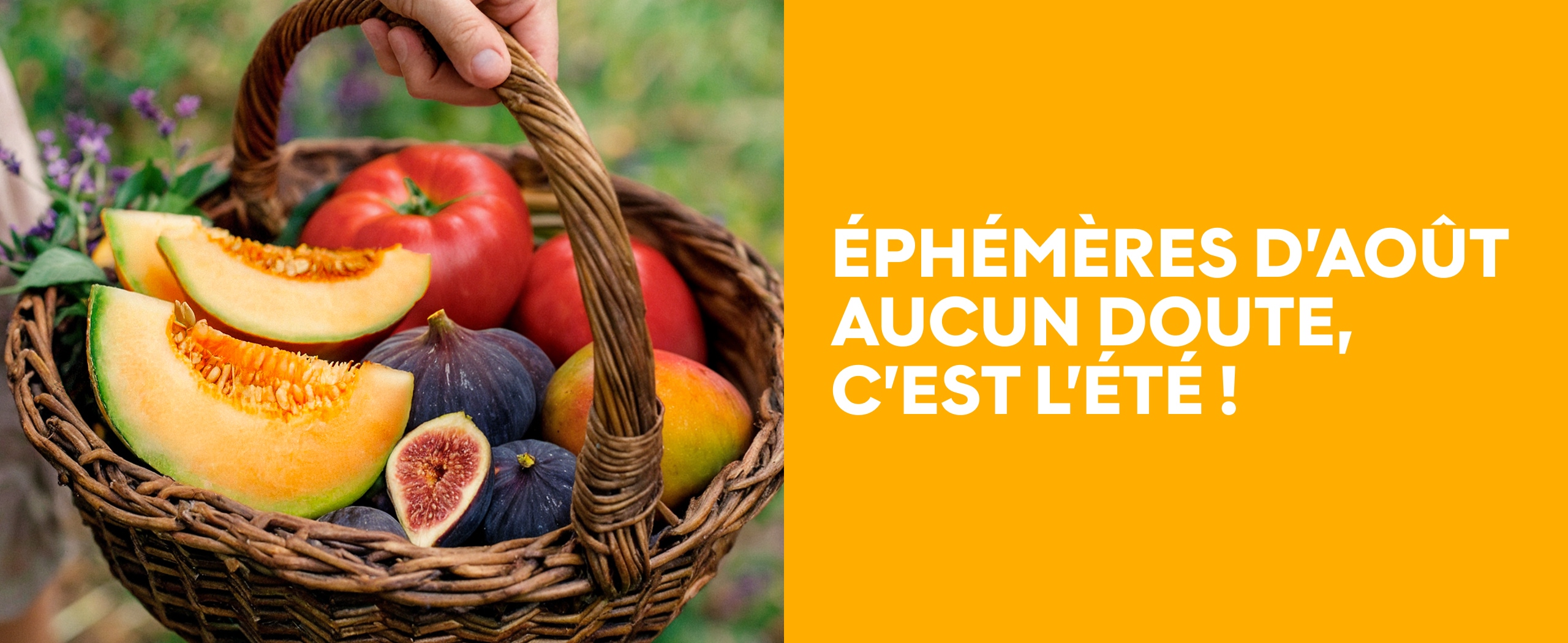 Ephémères d'Août aucun doute, c'est l'été !